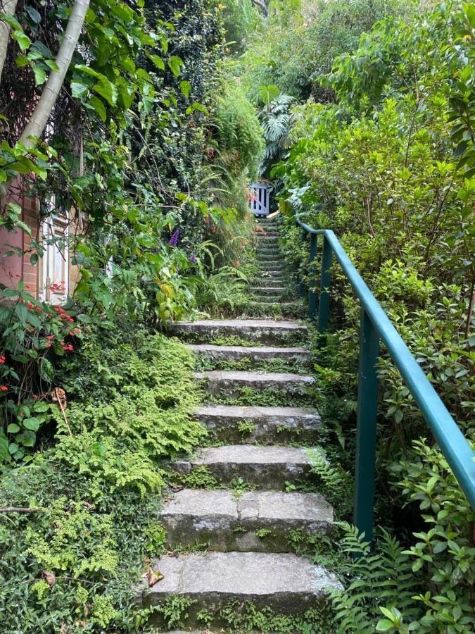 Villa Violeta Petropolis  Ngoại thất bức ảnh
