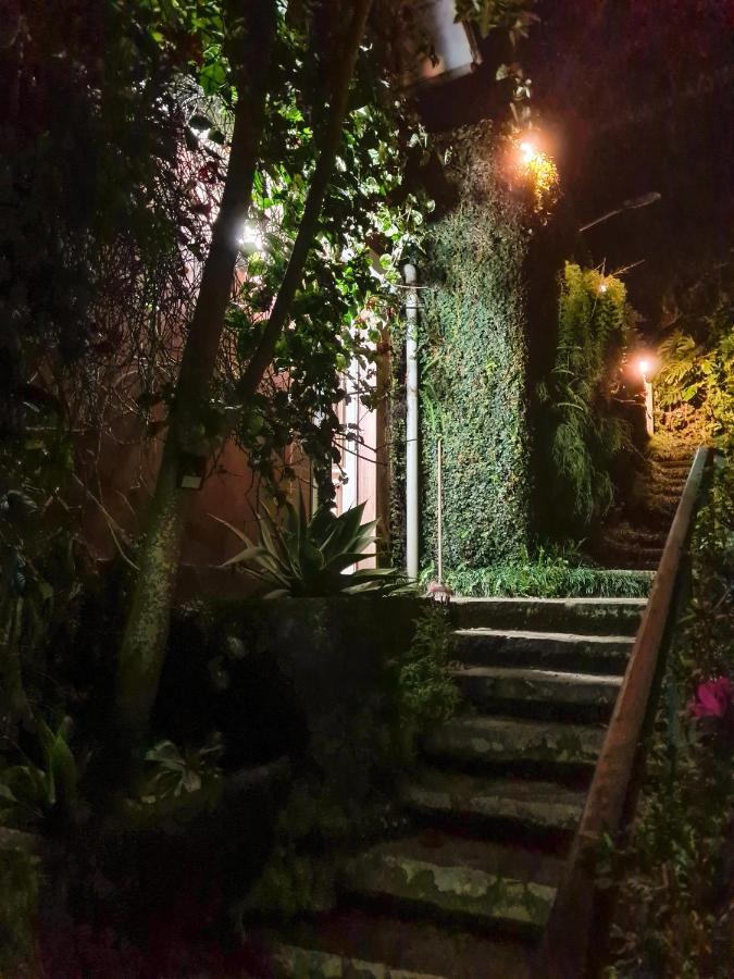 Villa Violeta Petropolis  Ngoại thất bức ảnh