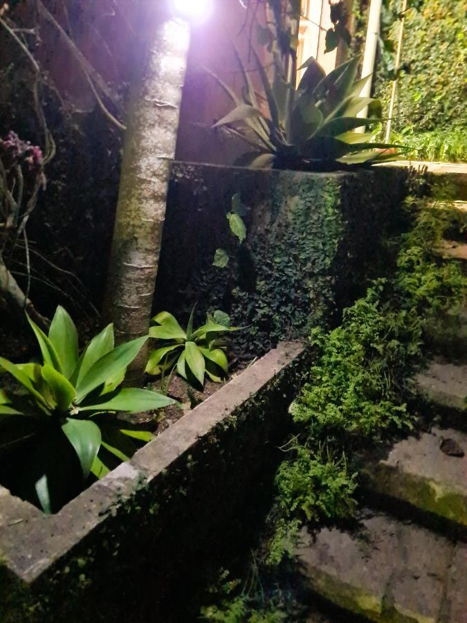 Villa Violeta Petropolis  Ngoại thất bức ảnh