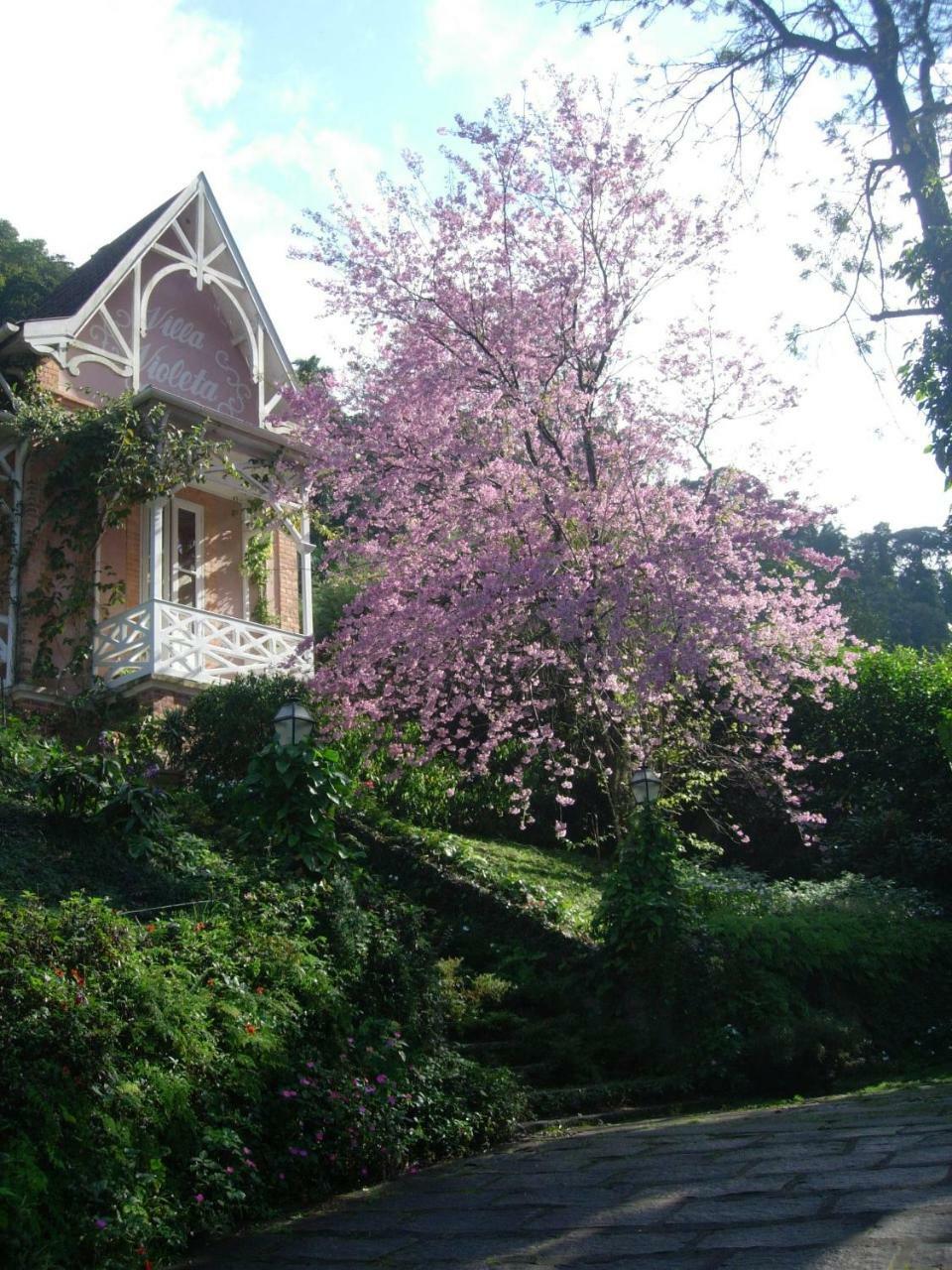 Villa Violeta Petropolis  Ngoại thất bức ảnh