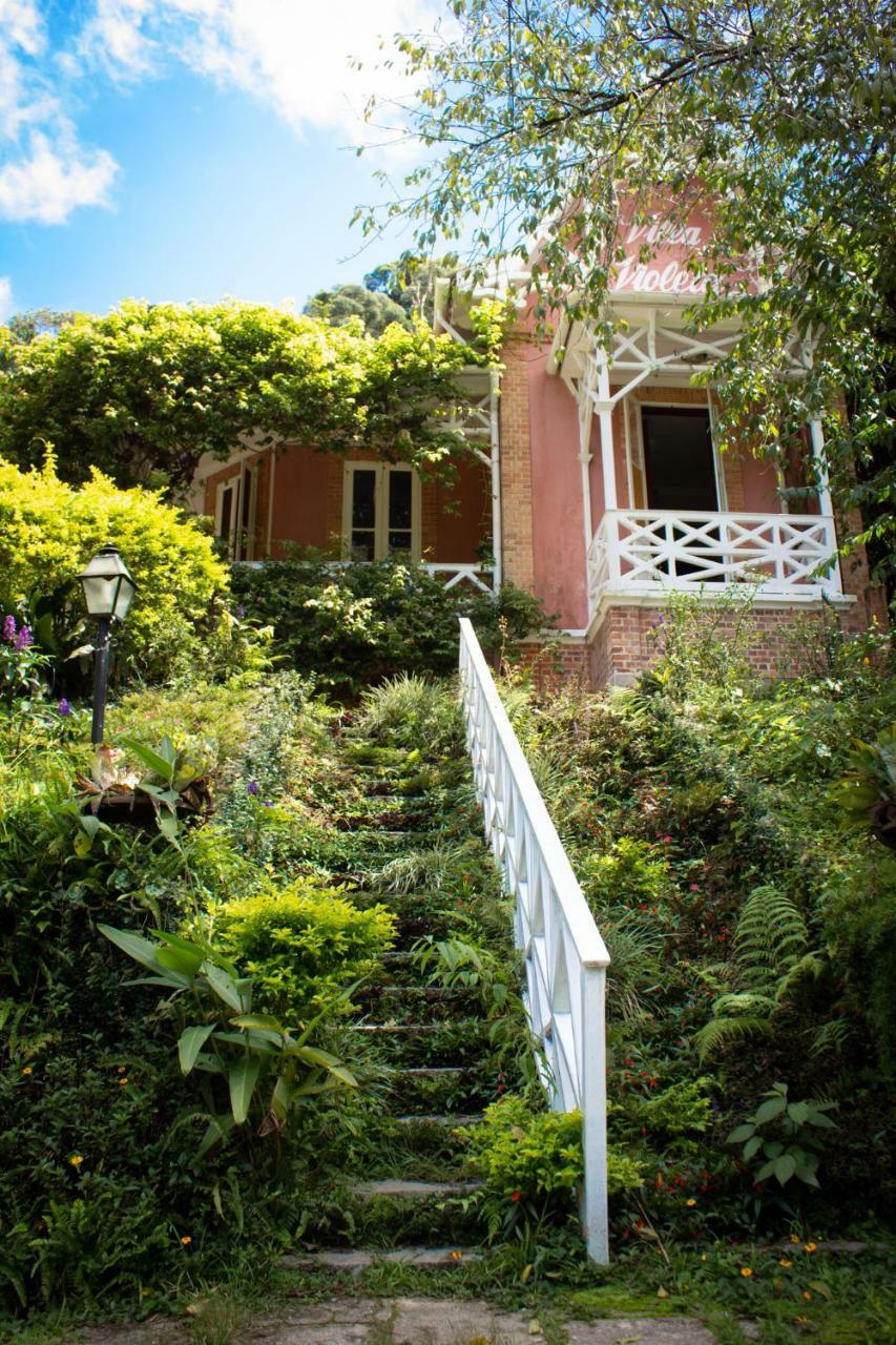 Villa Violeta Petropolis  Ngoại thất bức ảnh