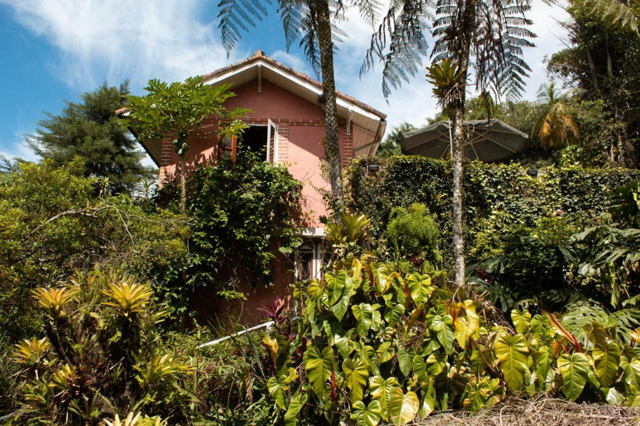 Villa Violeta Petropolis  Ngoại thất bức ảnh