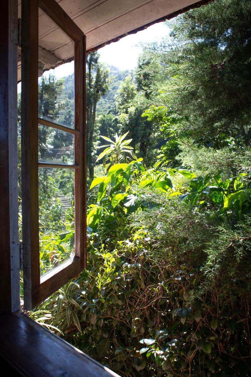Villa Violeta Petropolis  Ngoại thất bức ảnh